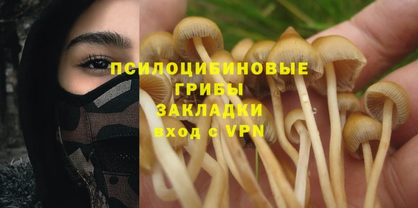 прущие крисы Карталы