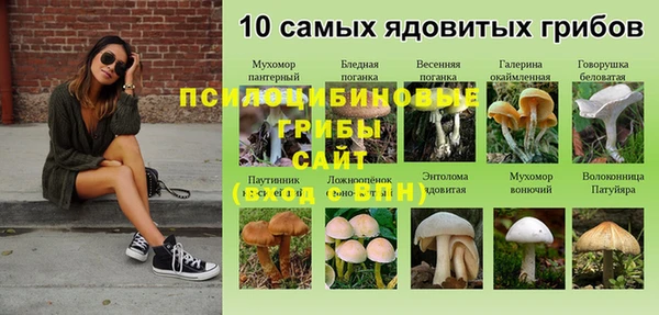 спиды Карпинск