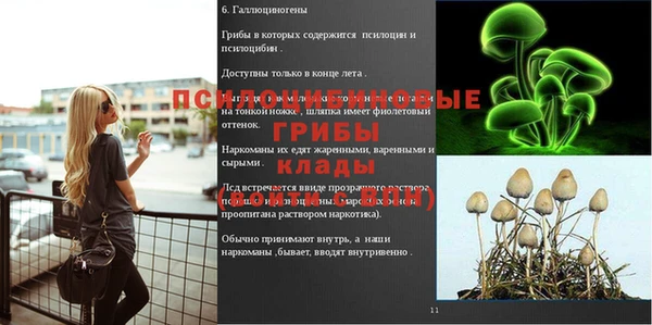 спиды Карпинск