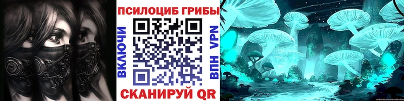 Псилоцибиновые грибы мицелий  где купить   Махачкала 