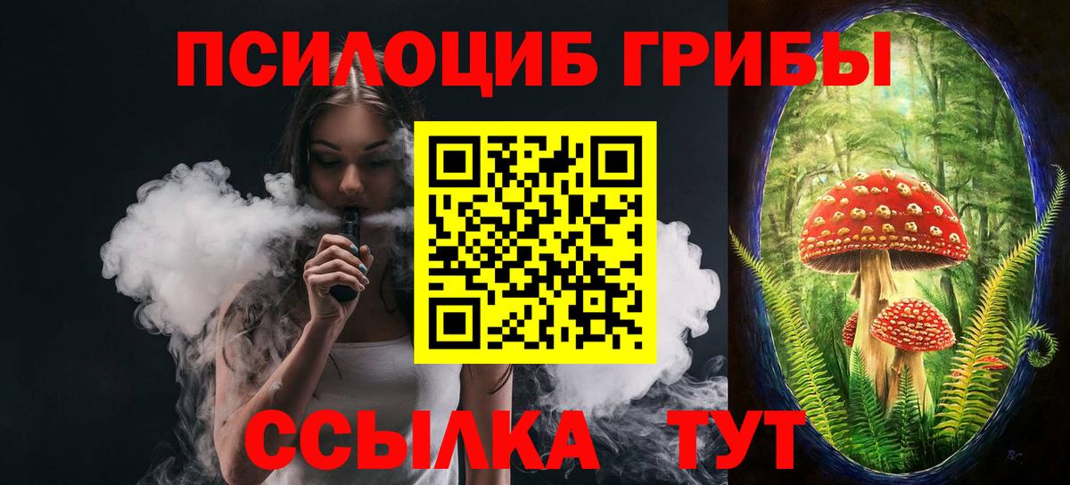 Псилоцибиновые грибы Cubensis Махачкала