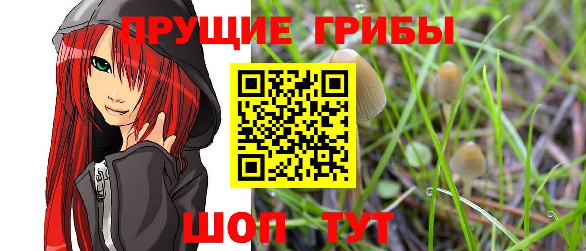 Псилоцибиновые грибы мухоморы Махачкала