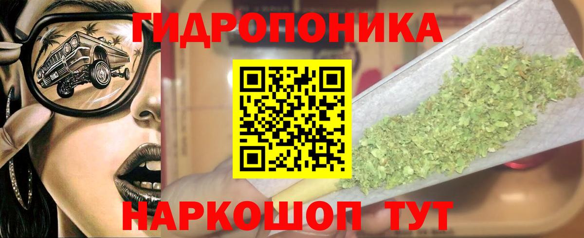 Марихуана сатива Махачкала